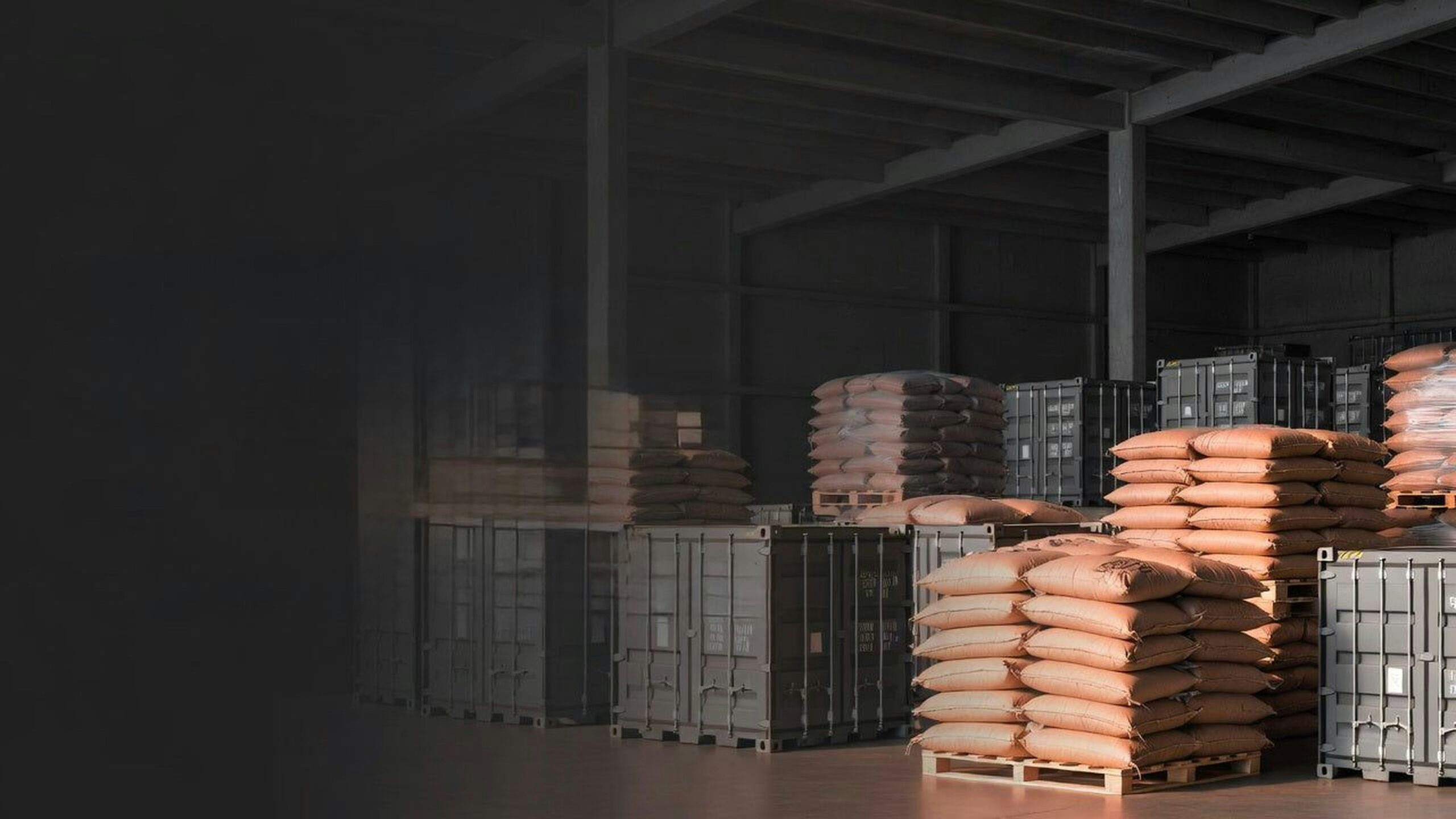 Cargo containers in freight logistics warehouse